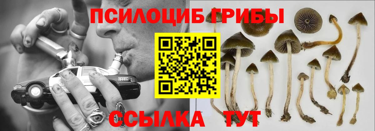 Галлюциногенные грибы MAGIC MUSHROOMS Новороссийск
